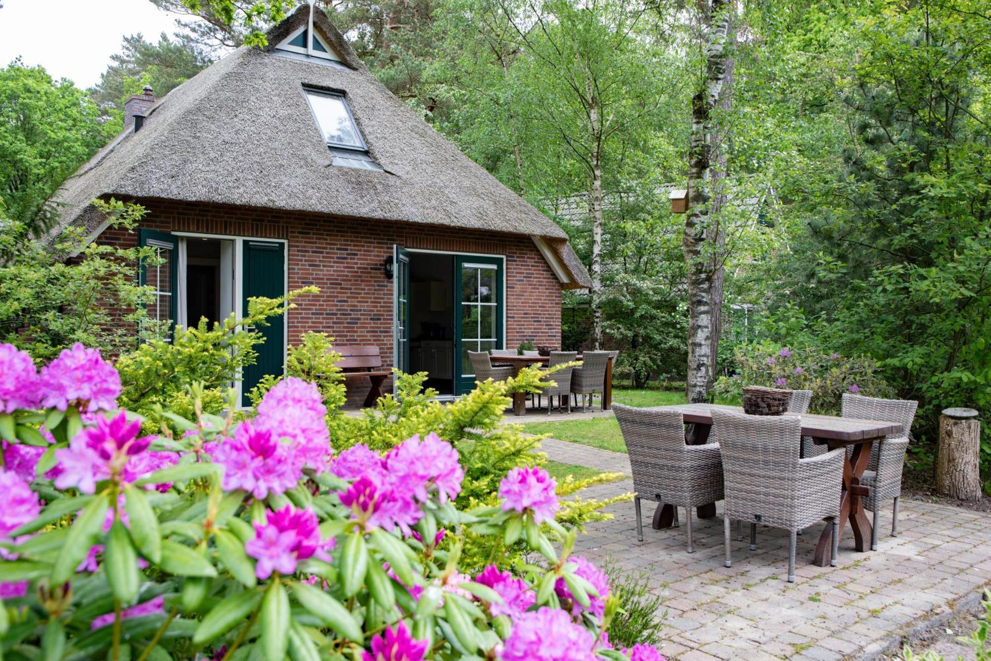 Summio Landgoed Het Grote Zand Otel Hooghalen Oda fotoğraf